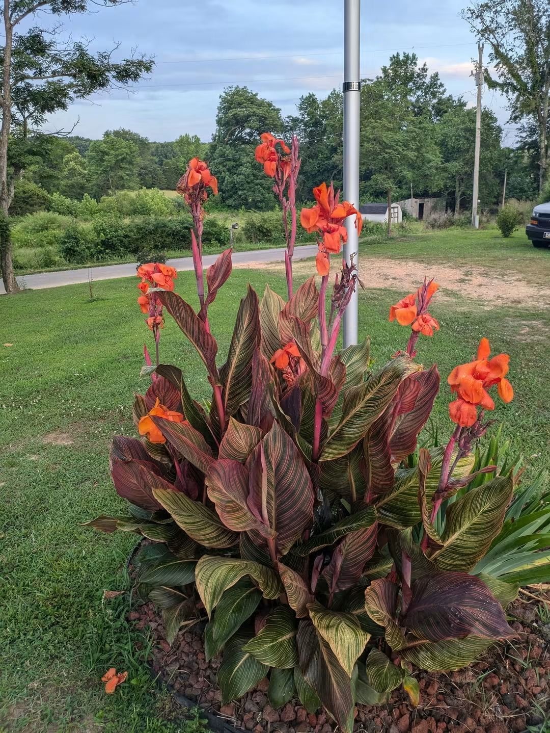 985 CCC Road McEwen, TN 37101 - Photo 14 of 37 Gallery Image 14