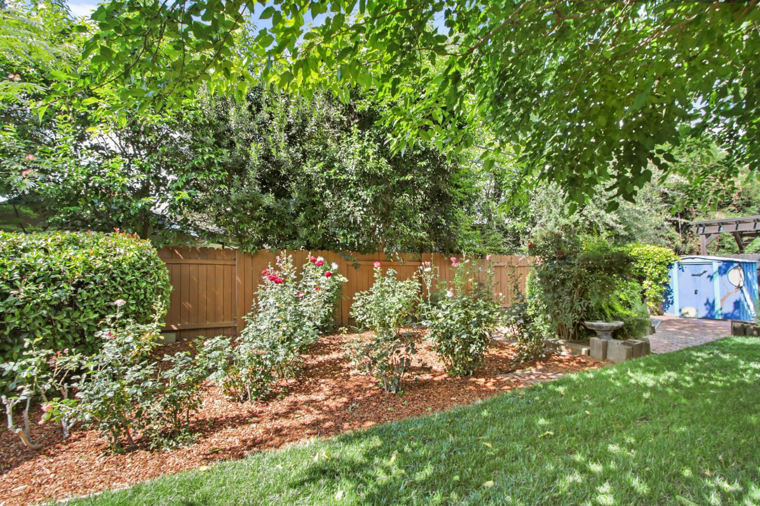 527 Rutgers Drive Davis, CA 95616 - Photo 44 of 50