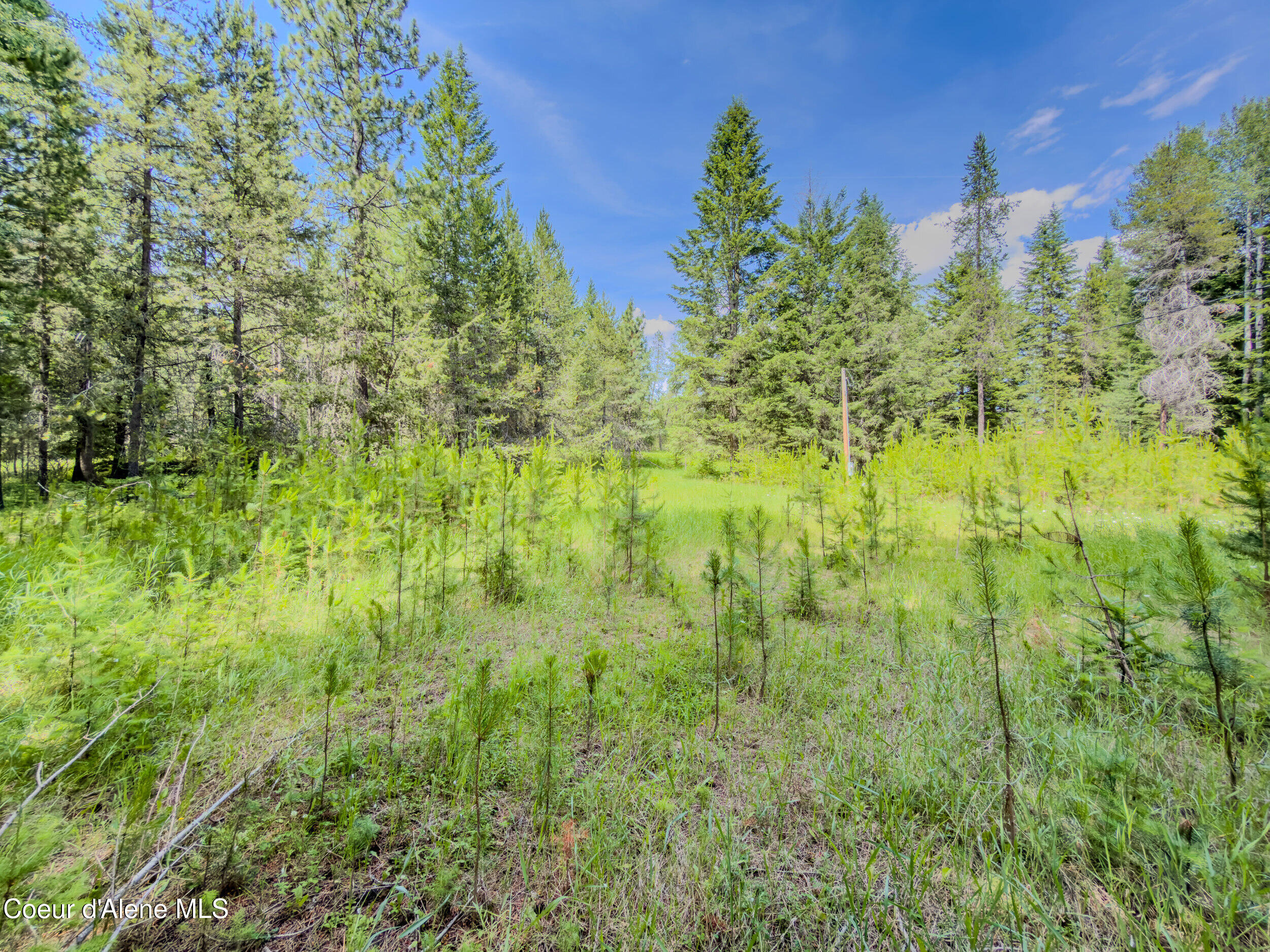 321 Winterton Road Sandpoint, ID 83864 - Photo 22 of 24 19_img_4804