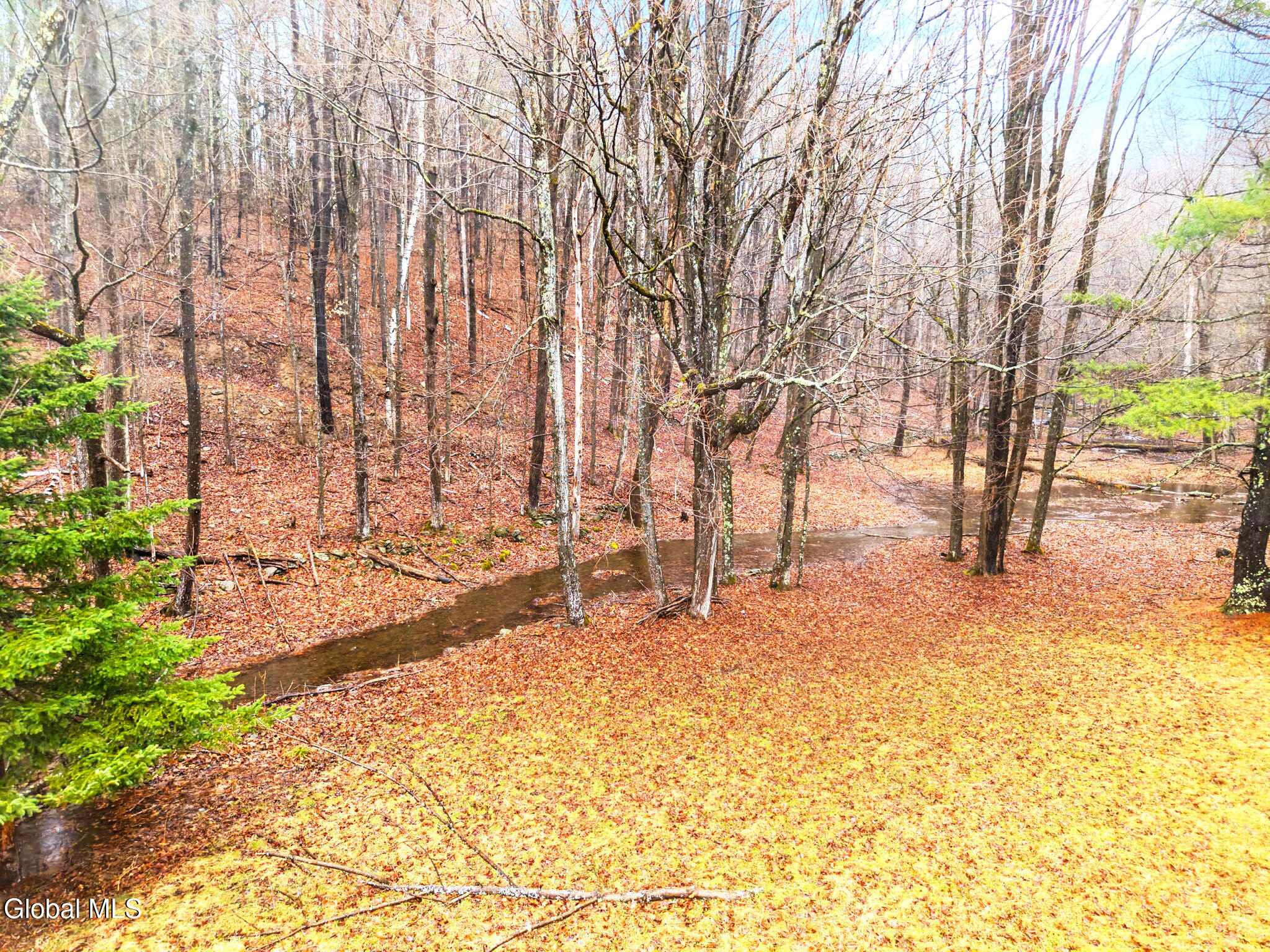 260 Kniskern Road Gilboa, NY 12122 - Photo 39 of 44 50-260KniskernRd_50