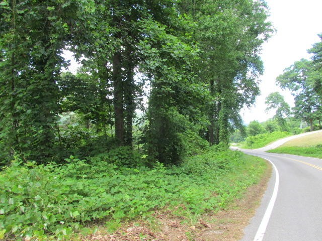 0 Hales Bar Road Guild, TN 37340 - Photo 2 of 14 Gallery Image 2
