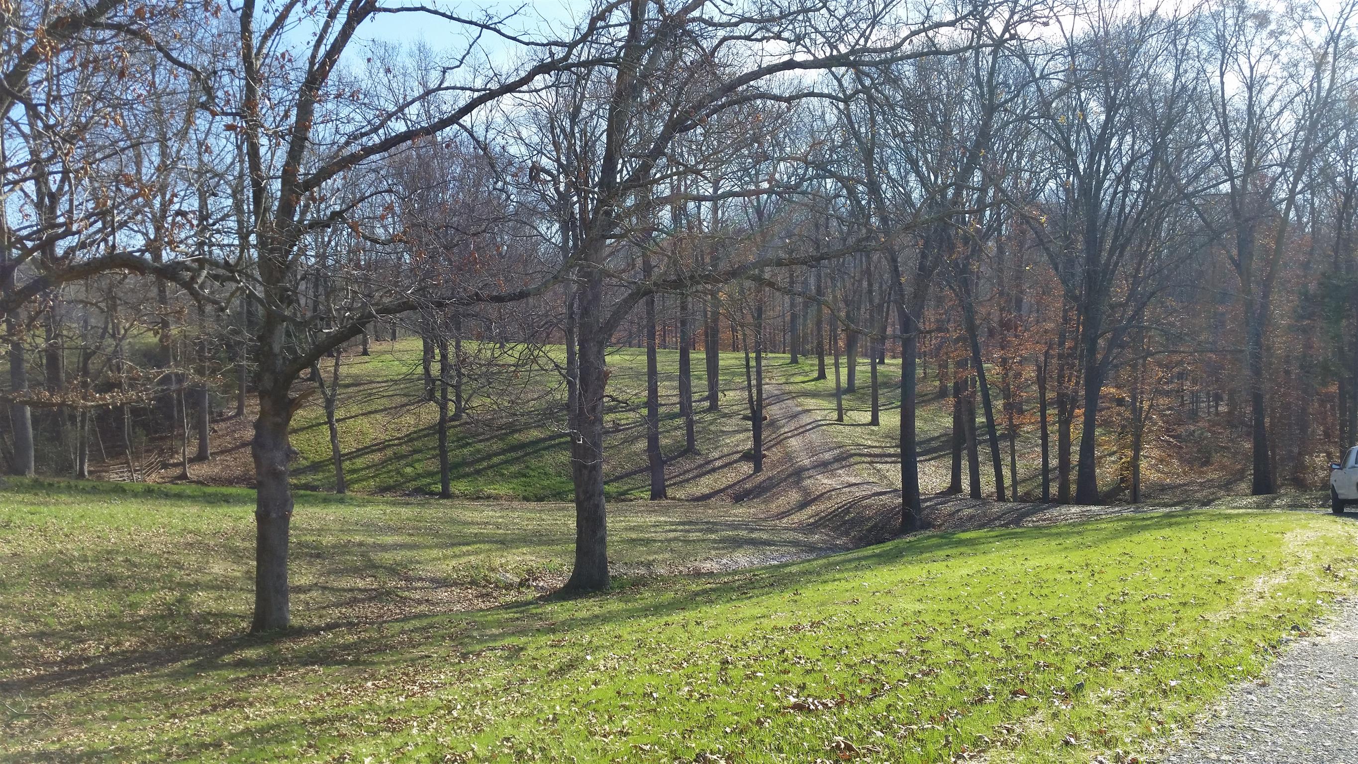 1 Barnhill Road Primm Springs, TN 38476 - Photo 3 of 8 a view of a backyard with a slide