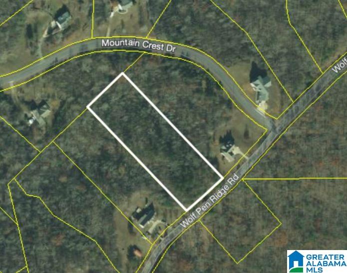0 Wolf Pen Ridge Road, Unit 3 ACRES Pell City, AL 35128 - Photo 1 of 5