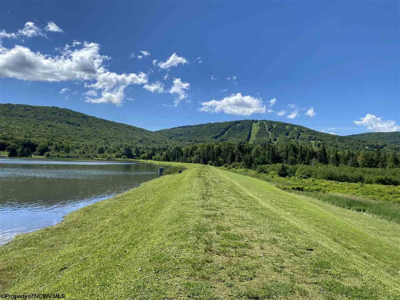1809 Cabin Mountain Road Davis, WV 26260 - Photo 24 of 25 Gallery Image 24