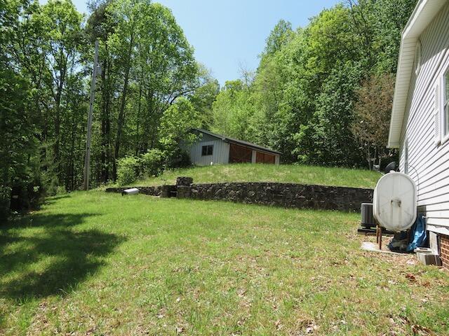 1437 Audrey Lane Blue Ridge, VA 24064 - Photo 16 of 30 Side Yard