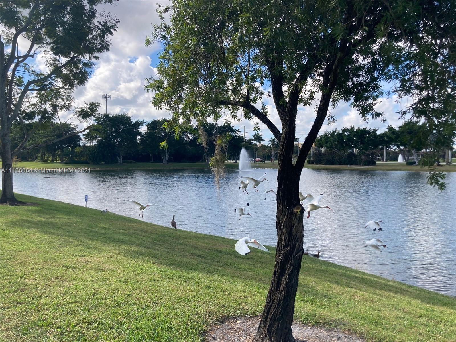 6765 Montego Bay Boulevard, Unit E Boca Raton, FL 33433 - Photo 3 of 31 a view of a lake with large trees