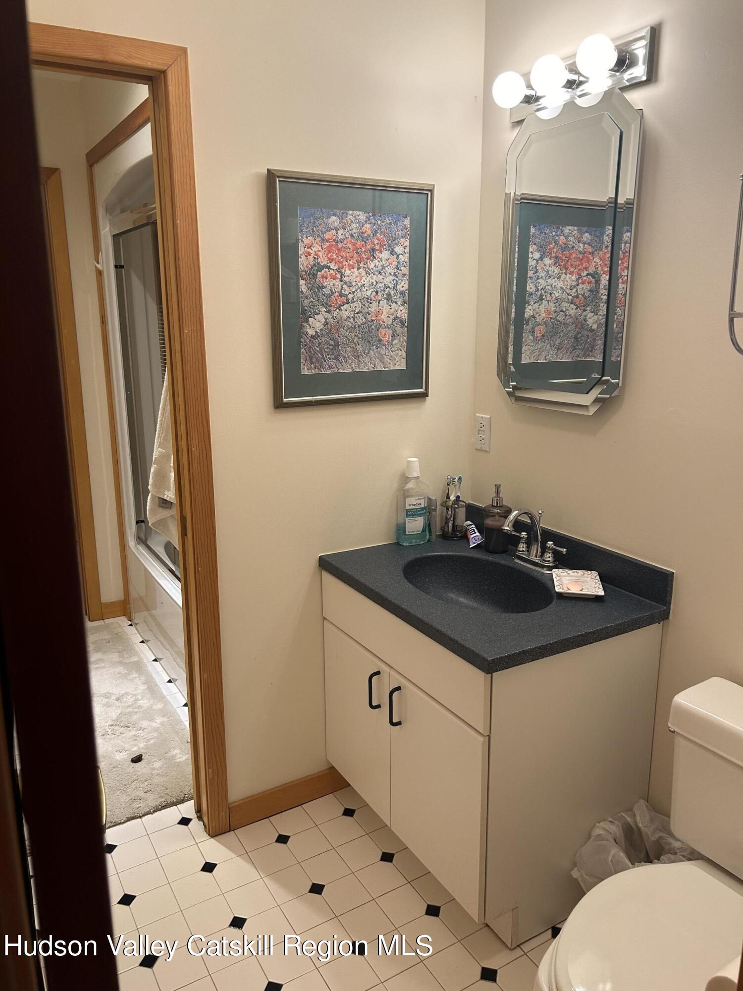 40 Tillson Lake Road Wallkill, NY 12589 - Photo 30 of 42 a bathroom with a sink a toilet and shower