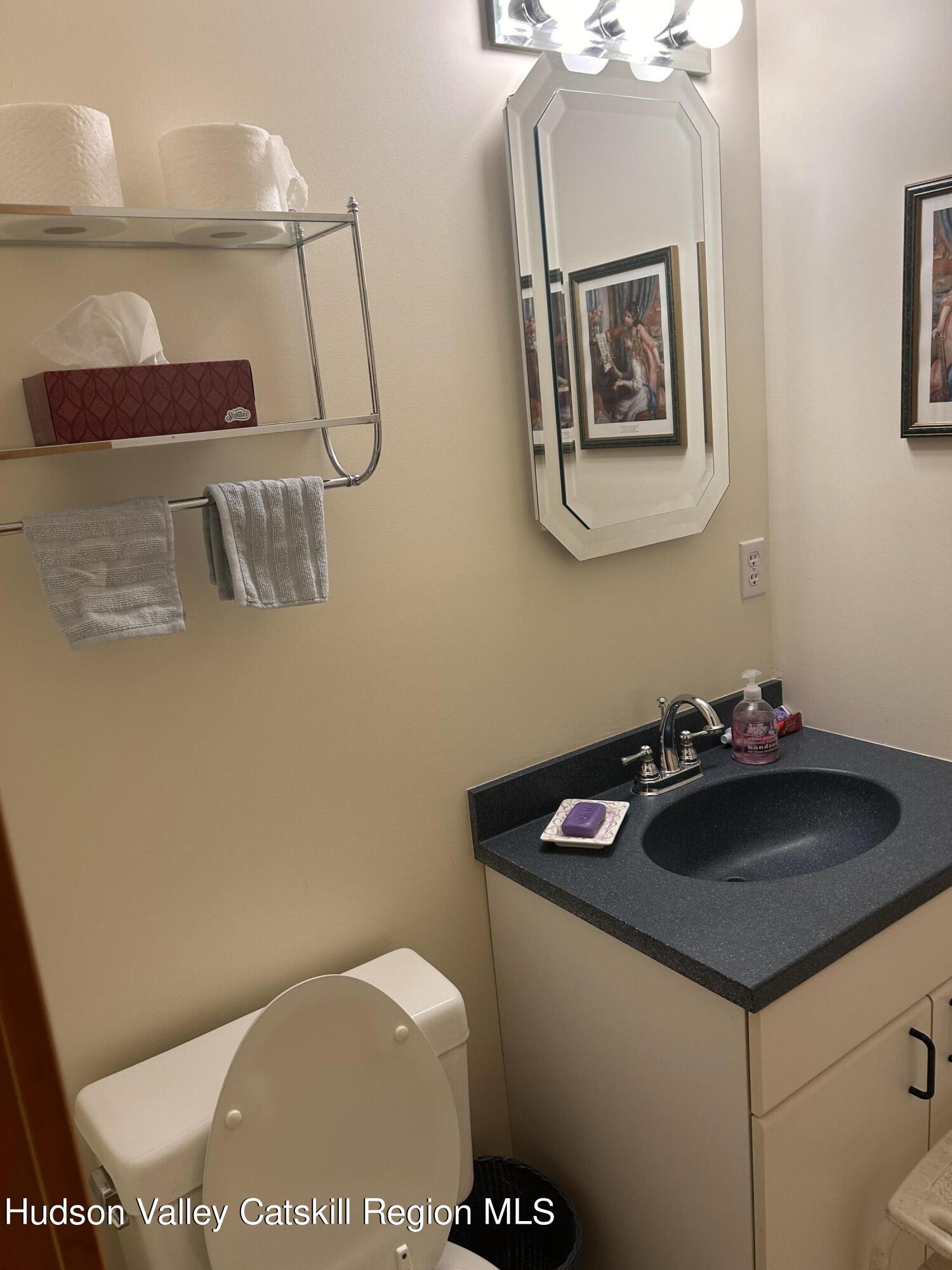 40 Tillson Lake Road Wallkill, NY 12589 - Photo 32 of 42 a bathroom with a sink and mirror