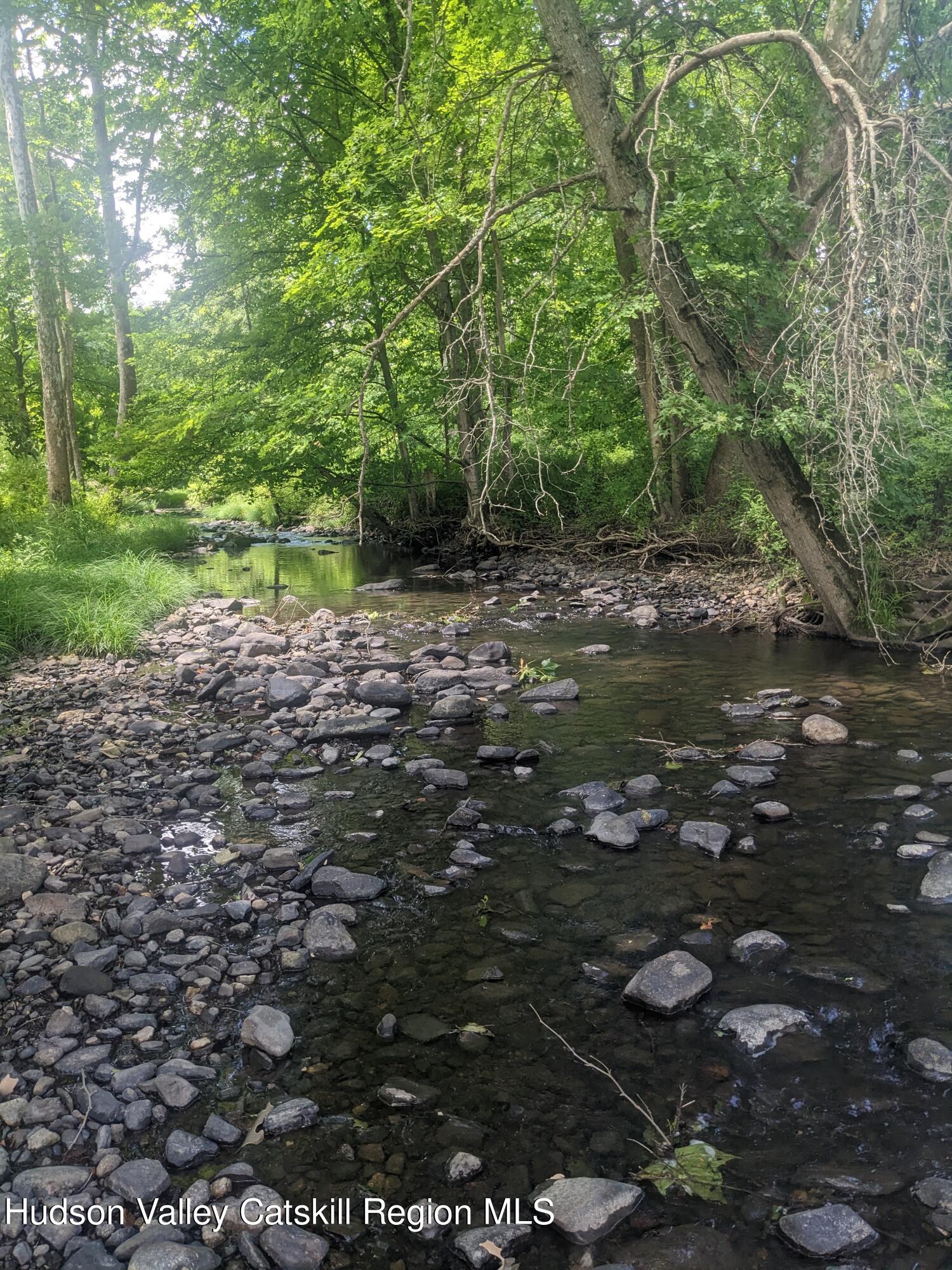 40 Tillson Lake Road Wallkill, NY 12589 - Photo 40 of 42 a view of a forest with trees
