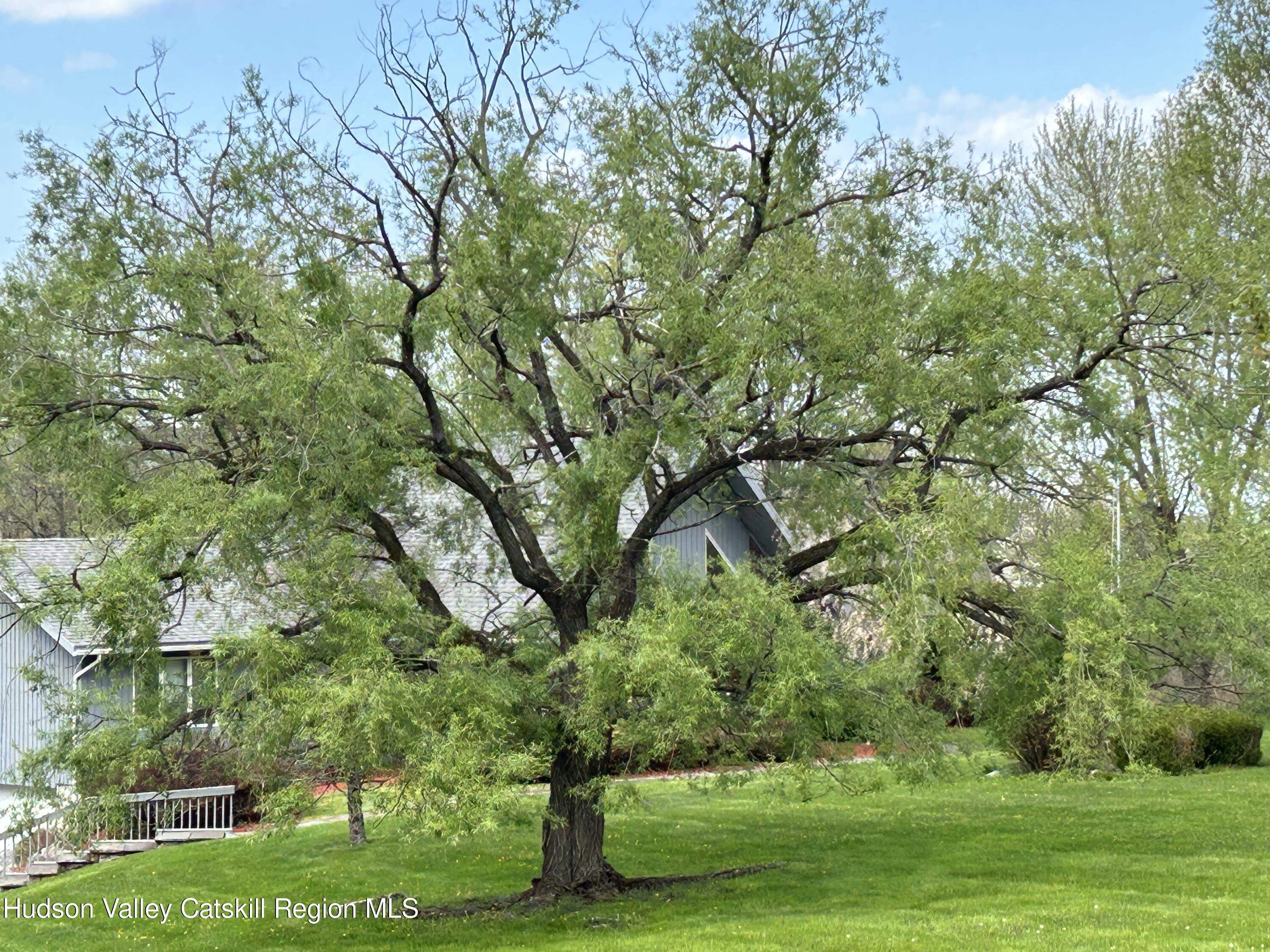 40 Tillson Lake Road Wallkill, NY 12589 - Photo 4 of 42 a green field with lots of trees
