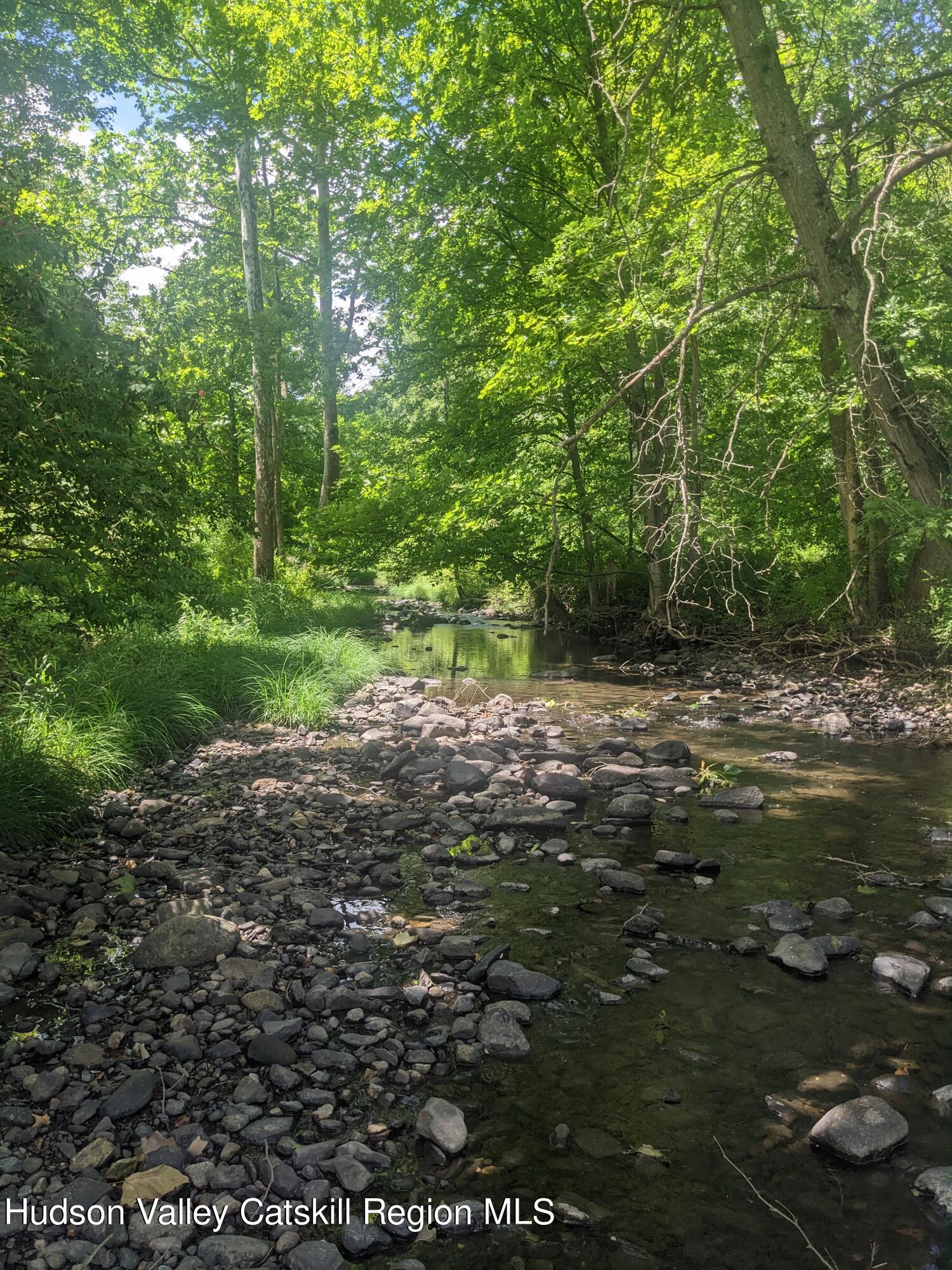 40 Tillson Lake Road Wallkill, NY 12589 - Photo 41 of 42 a view of a field with plants and trees