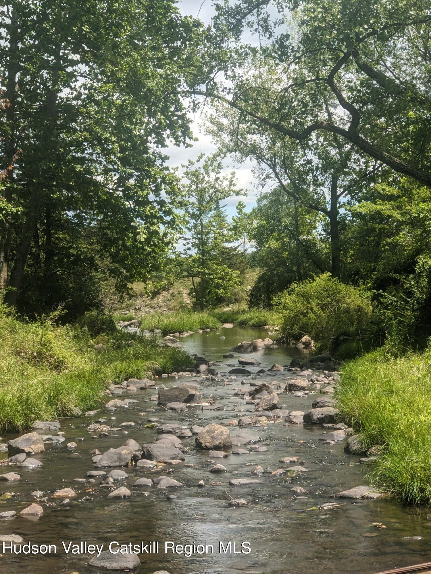 40 Tillson Lake Road Wallkill, NY 12589 - Photo 42 of 42 a view of a large yard with lots of green space