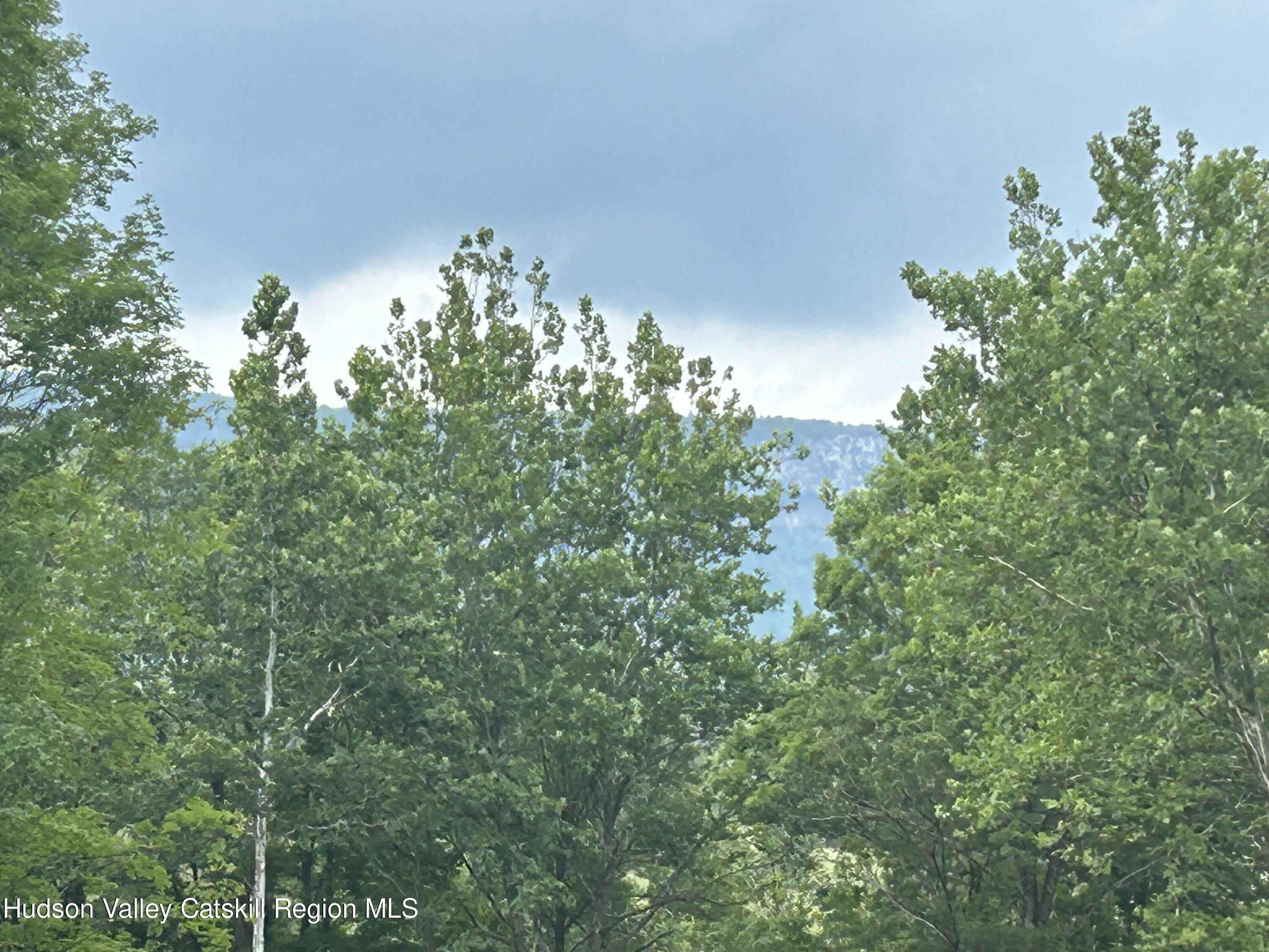 40 Tillson Lake Road Wallkill, NY 12589 - Photo 8 of 42 an aerial view of a house with lots of trees