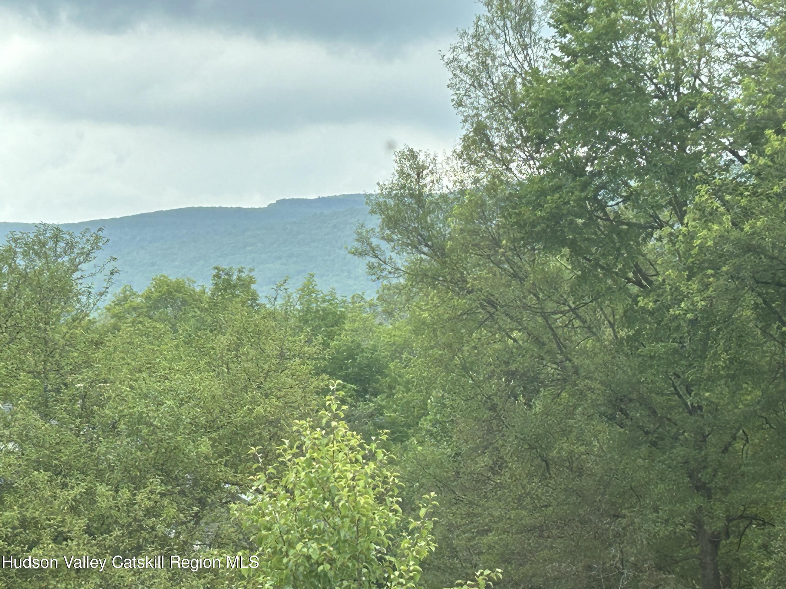 40 Tillson Lake Road Wallkill, NY 12589 - Photo 9 of 42 a view of a lush green forest with lots of trees