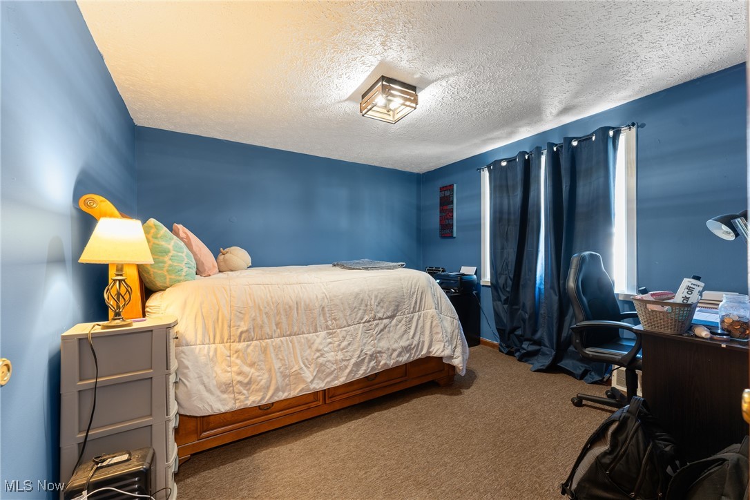 123 North Seneca Street Rittman, OH 44270 - Photo 9 of 32 Bedroom featuring carpet floors and a textured ceiling