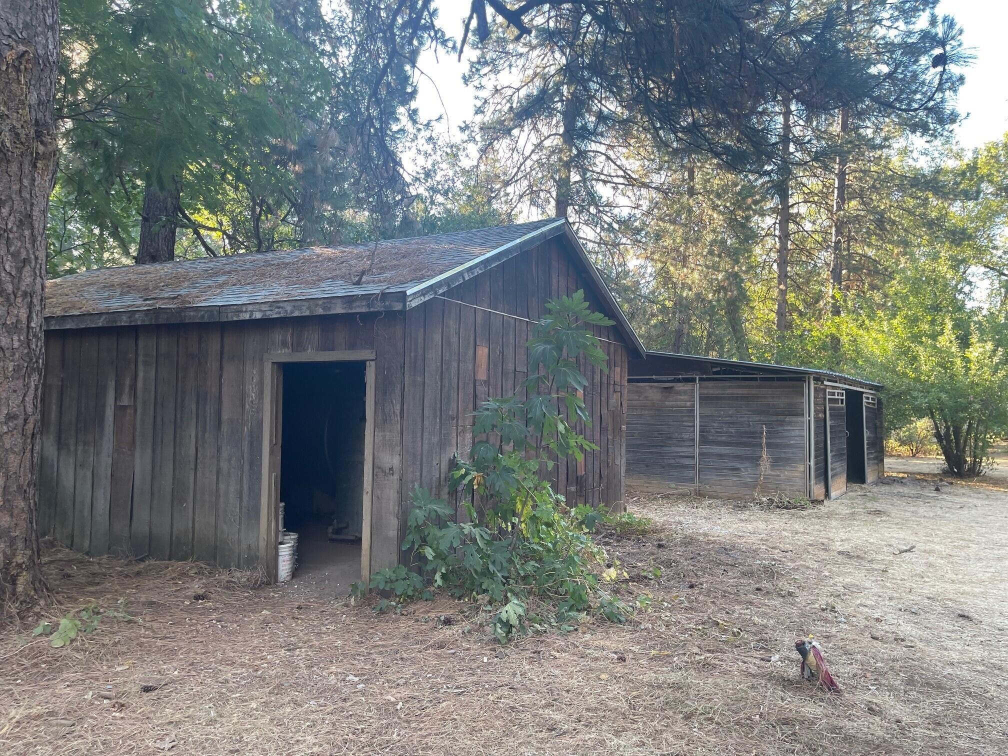 21565 Riverview Drive Lakehead, CA 96051 - Photo 5 of 6 a backyard of a house with plants and trees