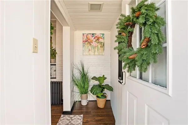 a potted plant sitting in front of a door