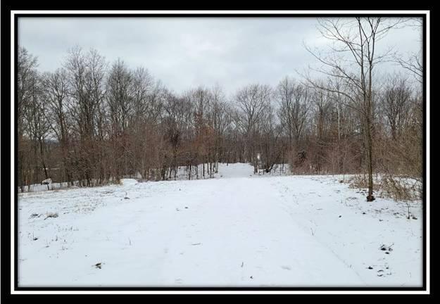 0 Number 12 Hollow Road Wellston, OH 45692 - Photo 24 of 45 image024