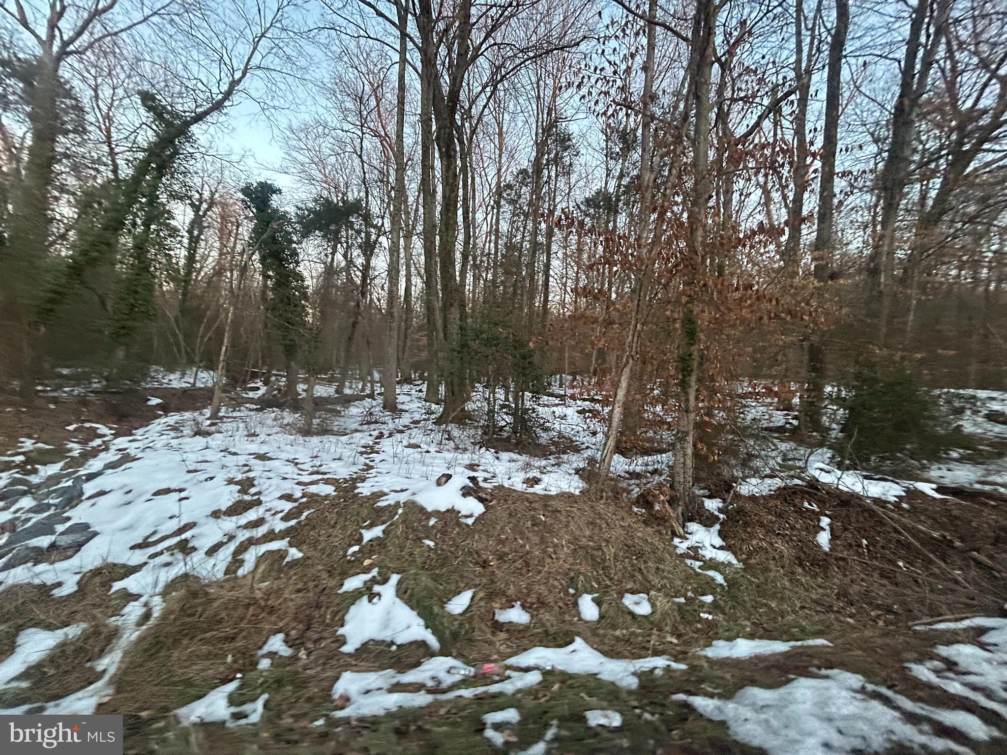 0 Livingston Road Fort Washington, MD 20744 - Photo 3 of 4 a view of snow on the side of a road