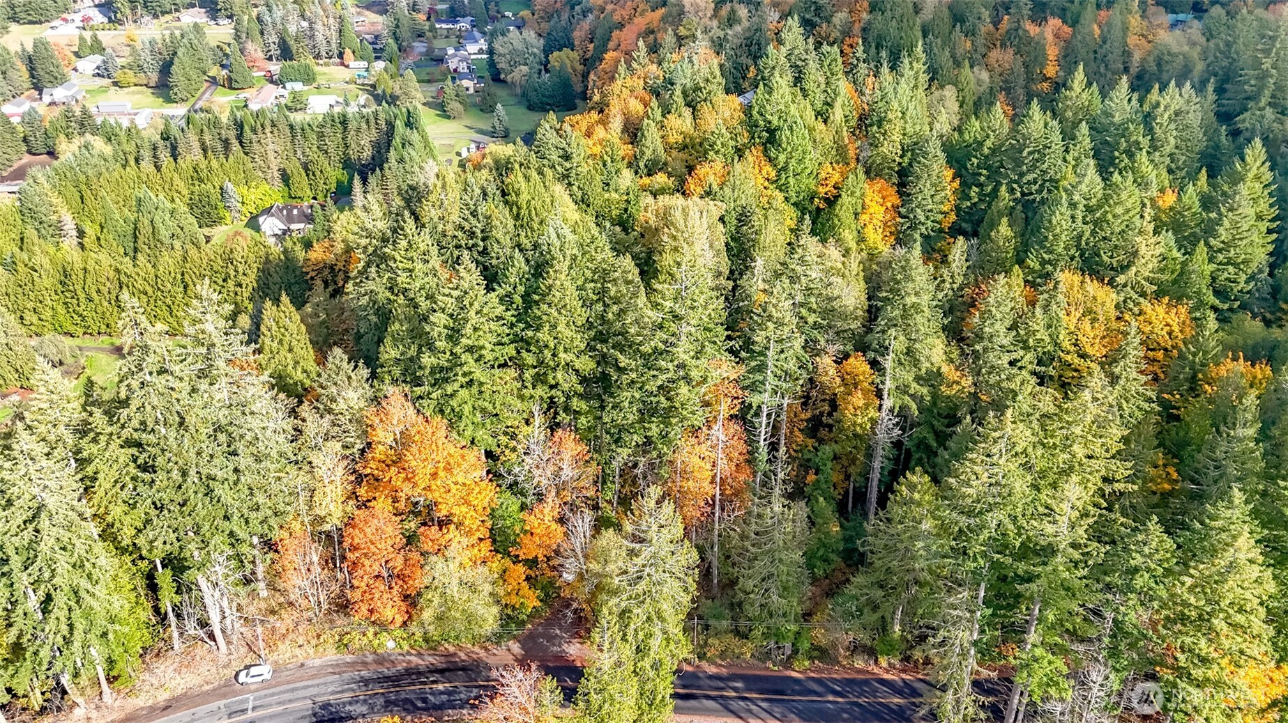 18313 Patterson Road East Orting, WA 98360 - Photo 9 of 29 Gallery Image 9