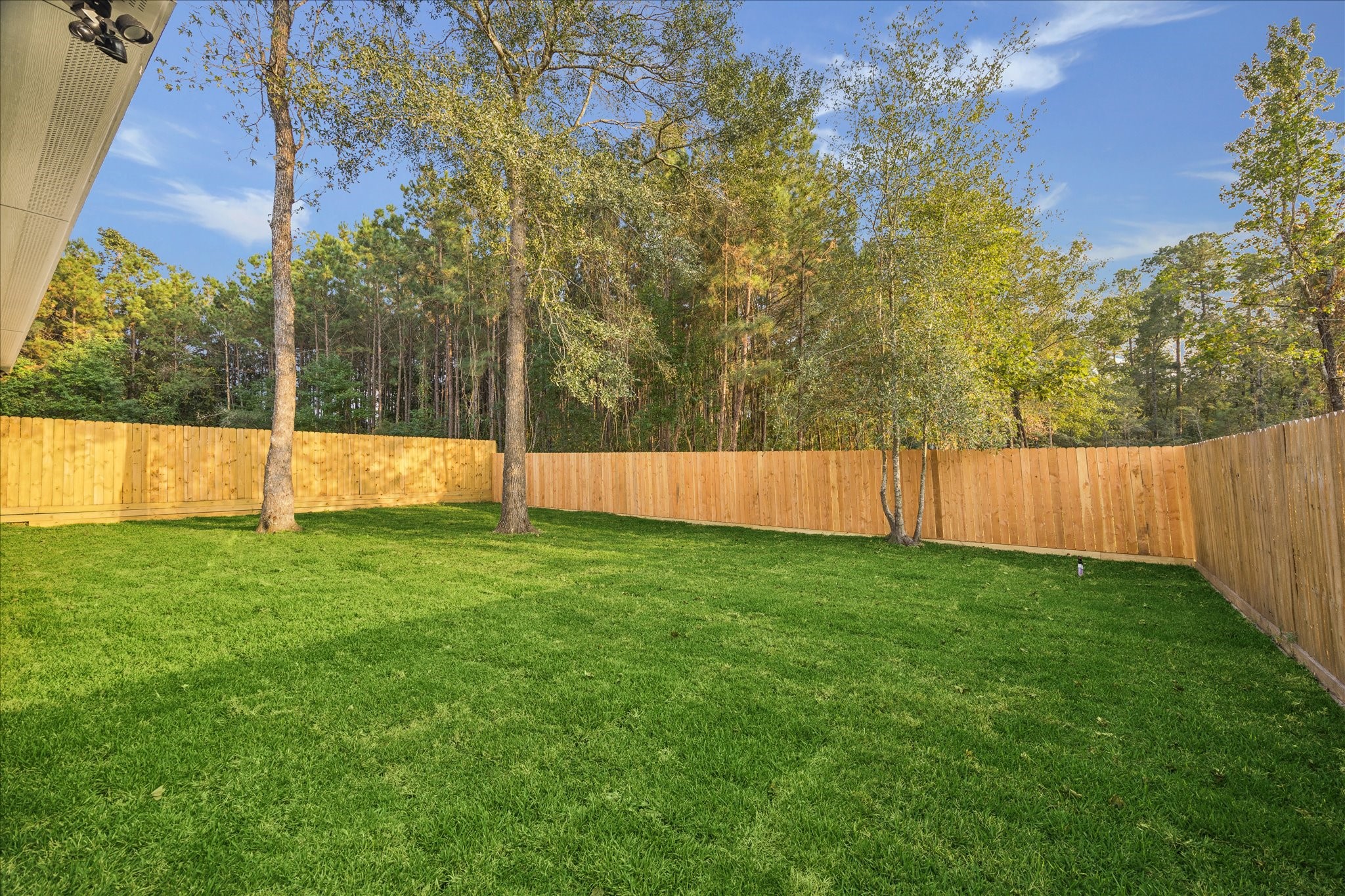 3026 Comanche Willis, TX 77378 - Photo 34 of 34 Backyard