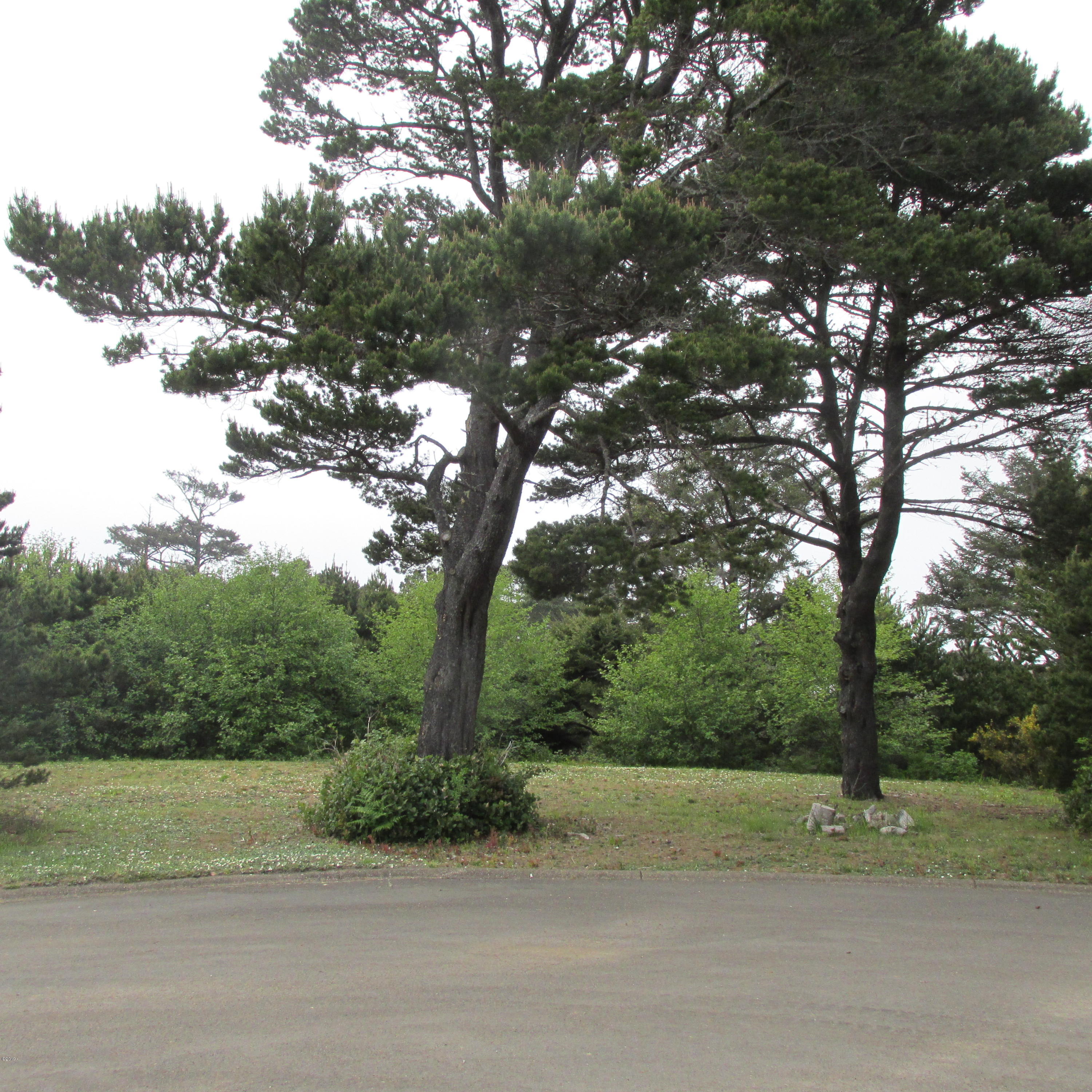Tl500 Southwest Sailfish Loop Waldport, OR 97394 - Photo 1 of 5 Level lot in 55 and over