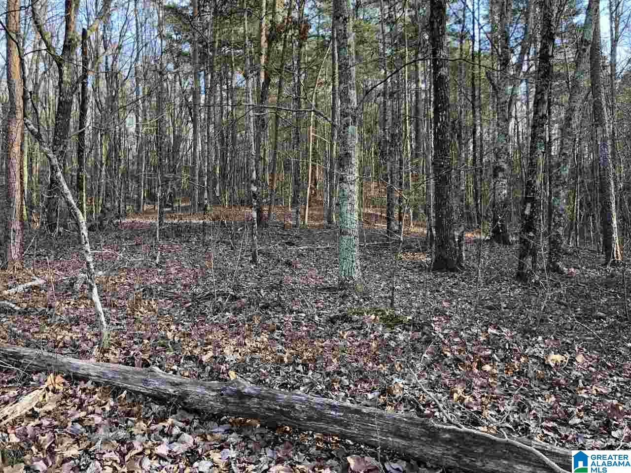 0 Drake Drive Springville, AL 35146 - Photo 13 of 23