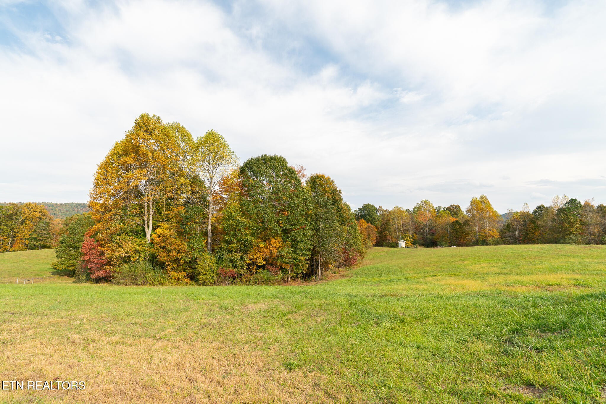 3767 Phillips Flats Road Oneida, TN 37841 - Photo 34 of 38