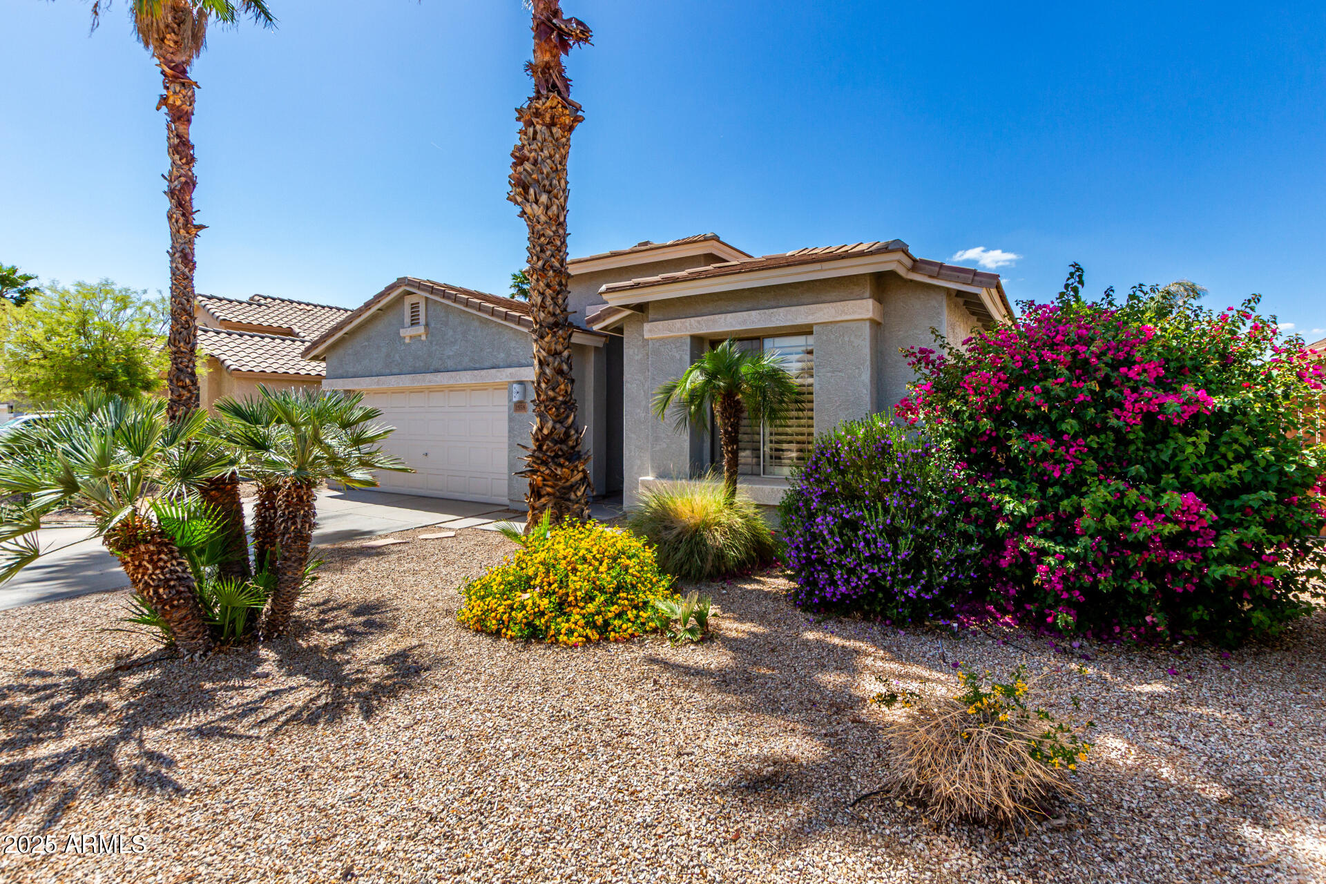 2558 South Martingale Road Gilbert, AZ 85295 - Photo 3 of 26 03 - Martingale