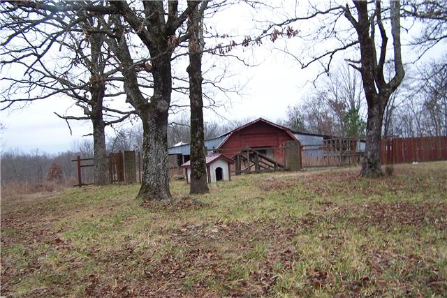 2030 Buffalo Road Hohenwald, TN 38462 - Photo 4 of 7 Gallery Image 4