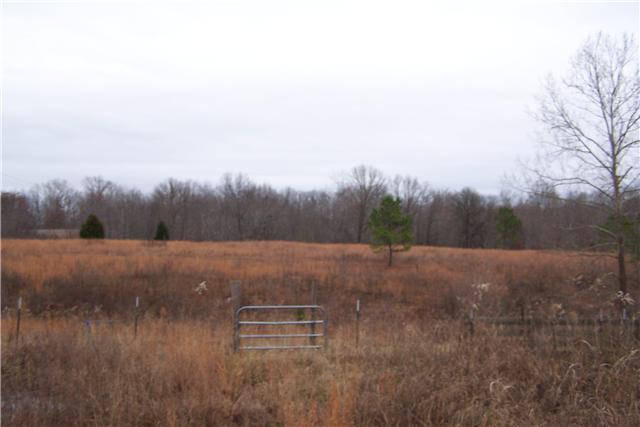 2030 Buffalo Road Hohenwald, TN 38462 - Photo 6 of 7 Gallery Image 6