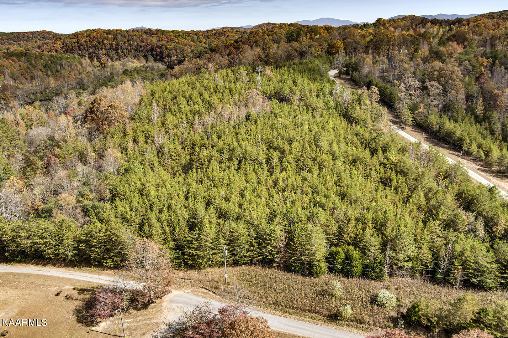 162 Williams Road Tellico Plains, TN 37385 - Photo 6 of 20 06_WilliamsRoad_RoadBirdseye_E-NE