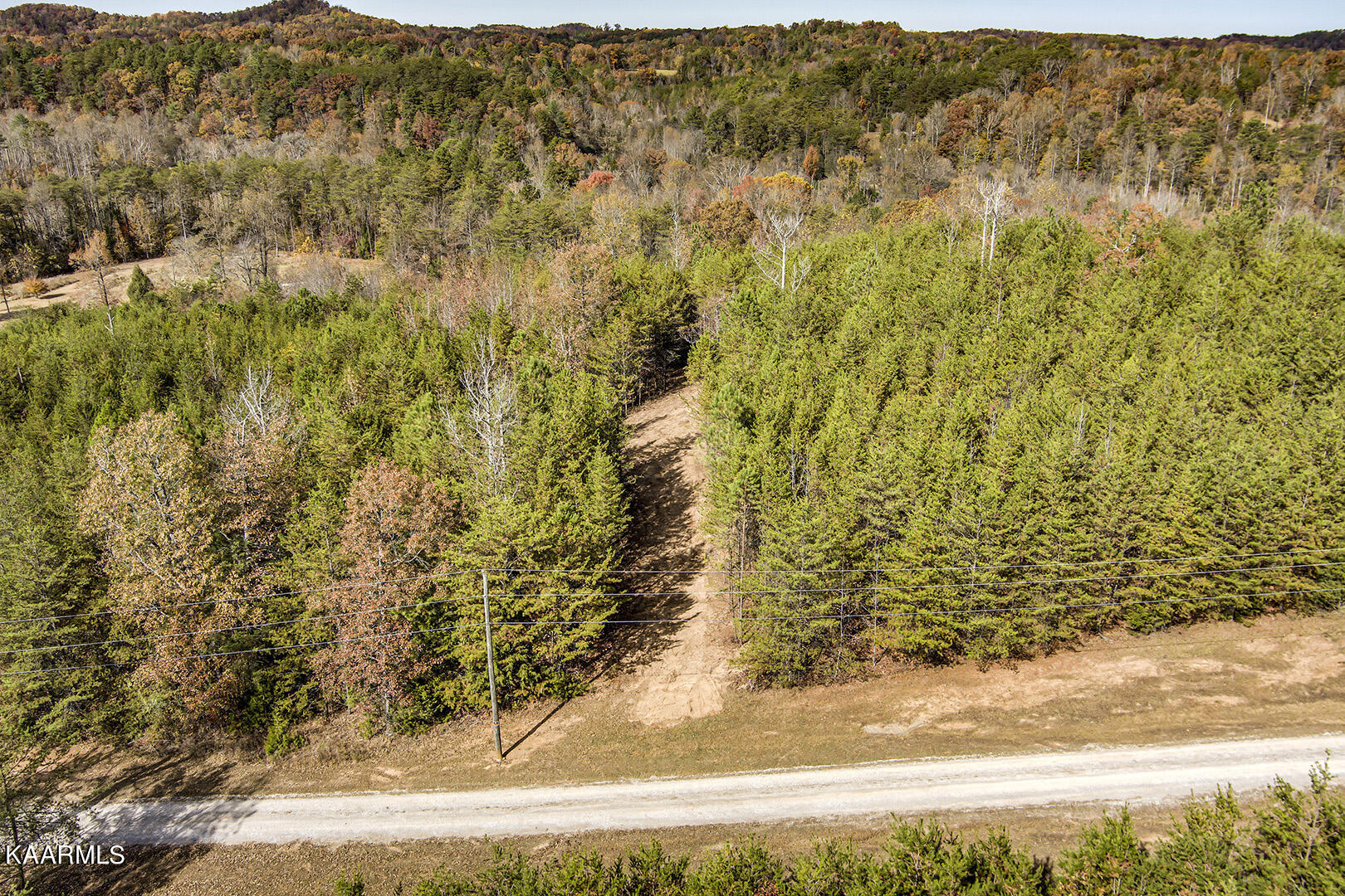 162 Williams Road Tellico Plains, TN 37385 - Photo 8 of 20 08_WilliamsRoad_DriveCutBirdseye_N-NW
