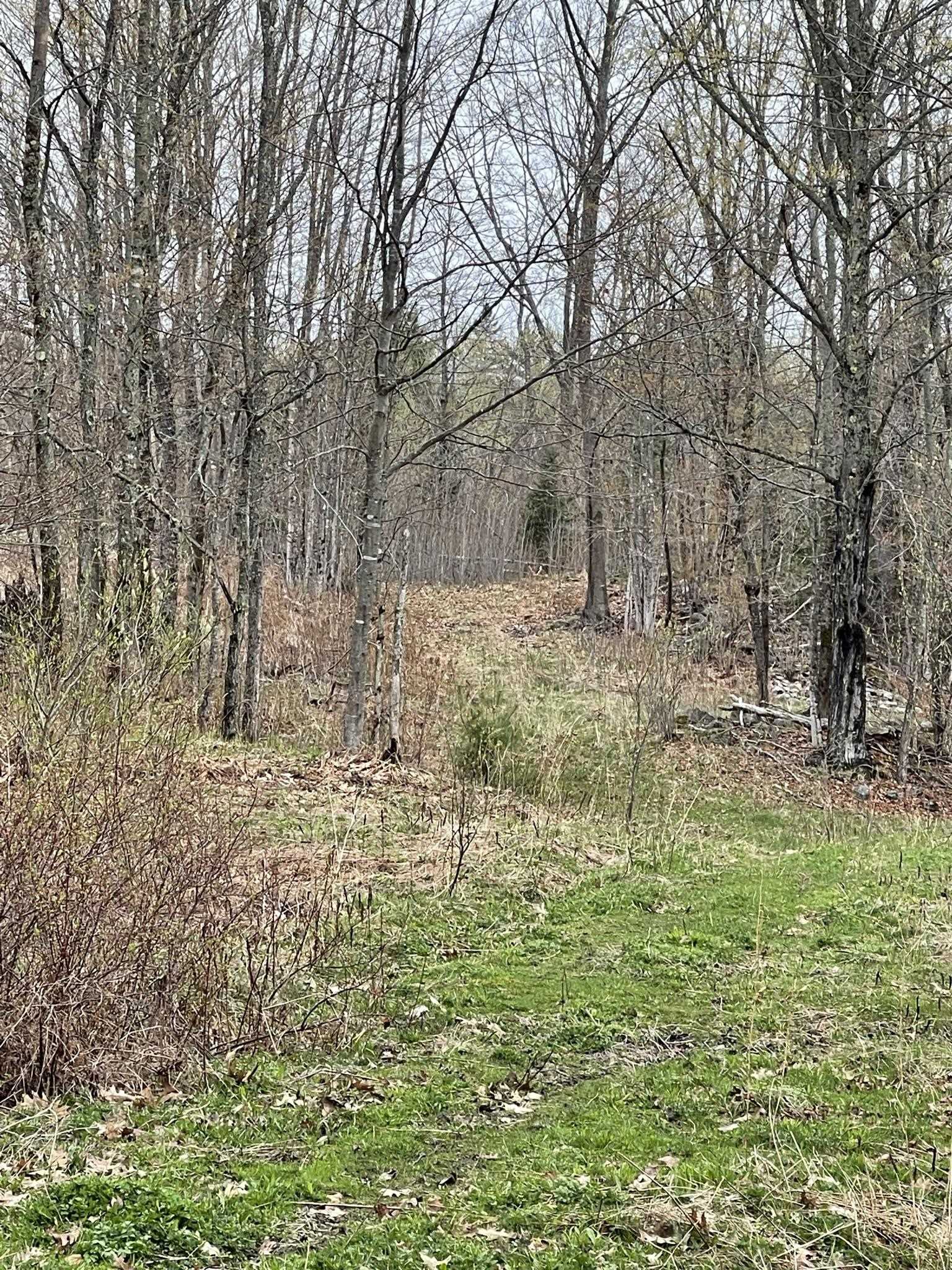 1342 Woodward Road Concord, VT 05824 - Photo 4 of 39 Gallery Image 4