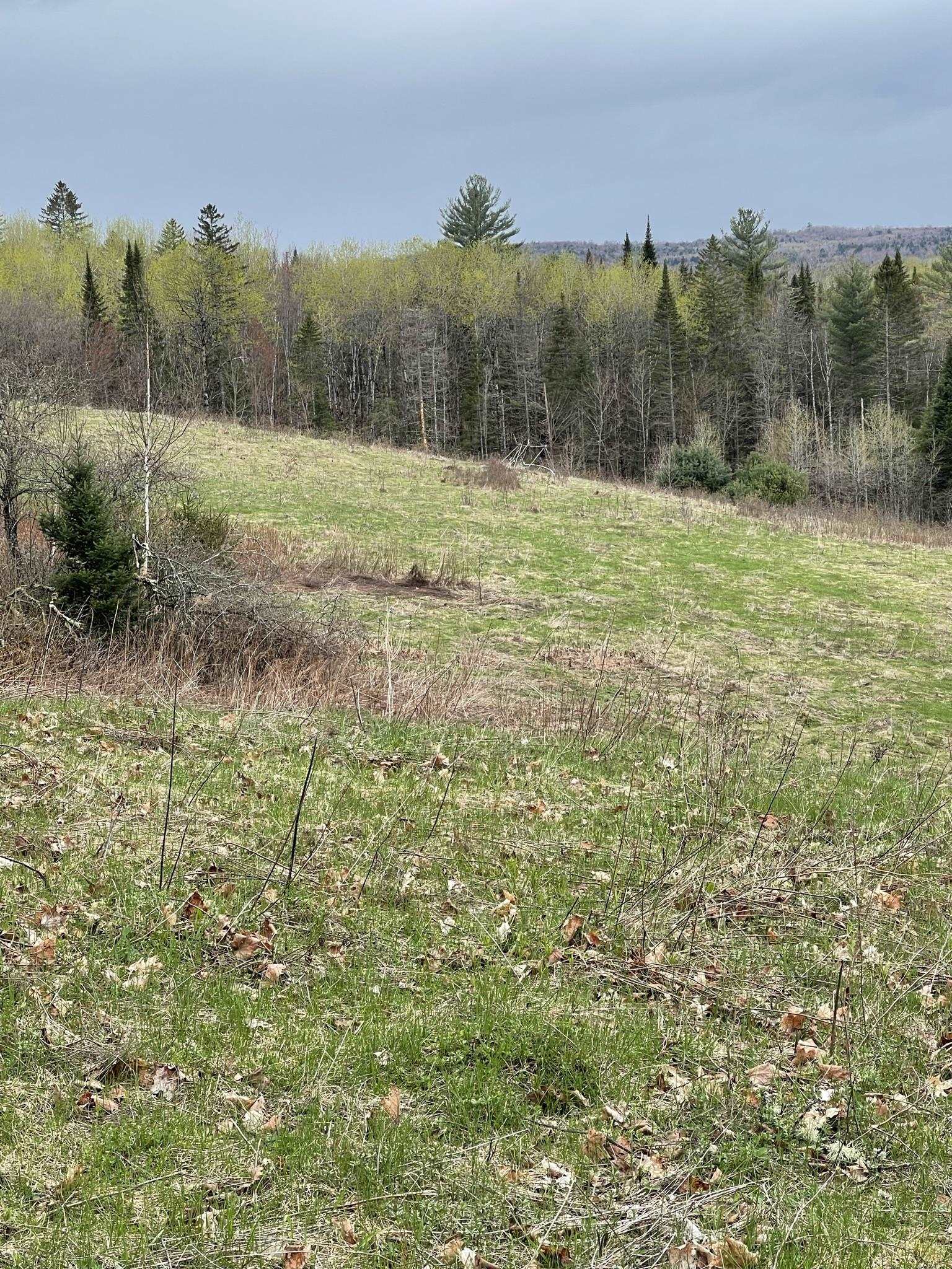 1342 Woodward Road Concord, VT 05824 - Photo 6 of 39 Gallery Image 6