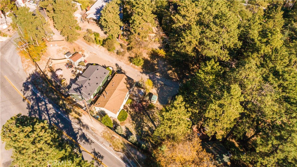 23700 Clement Way Idyllwild, CA 92549 - Photo 26 of 32 a view of under tree