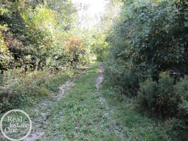 0 25 25 Mile Road Utica, MI 48315 - Photo 2 of 4 31264619-1.JPG