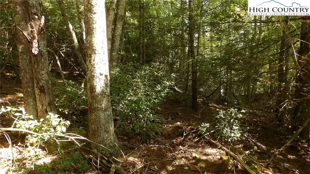 $19,900 | 1149 Pine Ridge Road, Beech Mountain, NC 28604