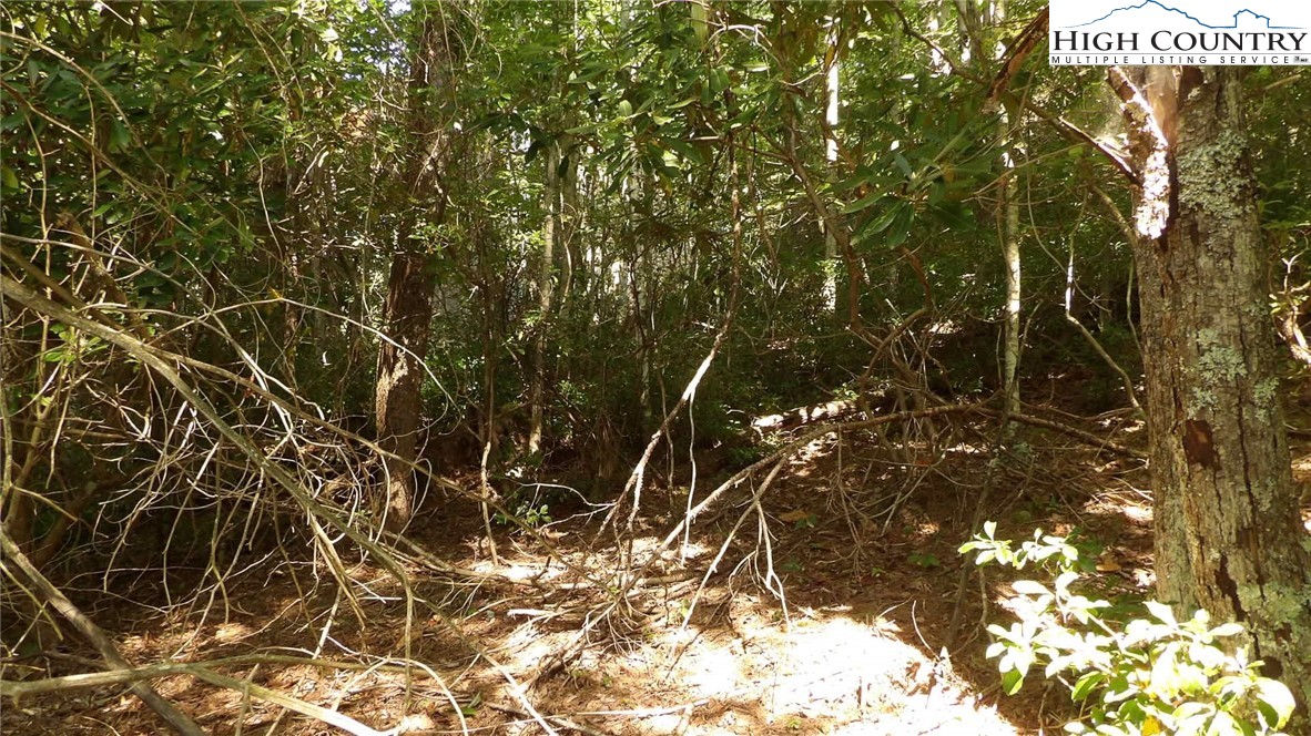 1149 Pine Ridge Road Beech Mountain, NC 28604 - Photo 5 of 6