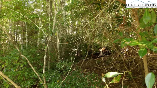 $19,900 | 1149 Pine Ridge Road, Beech Mountain, NC 28604