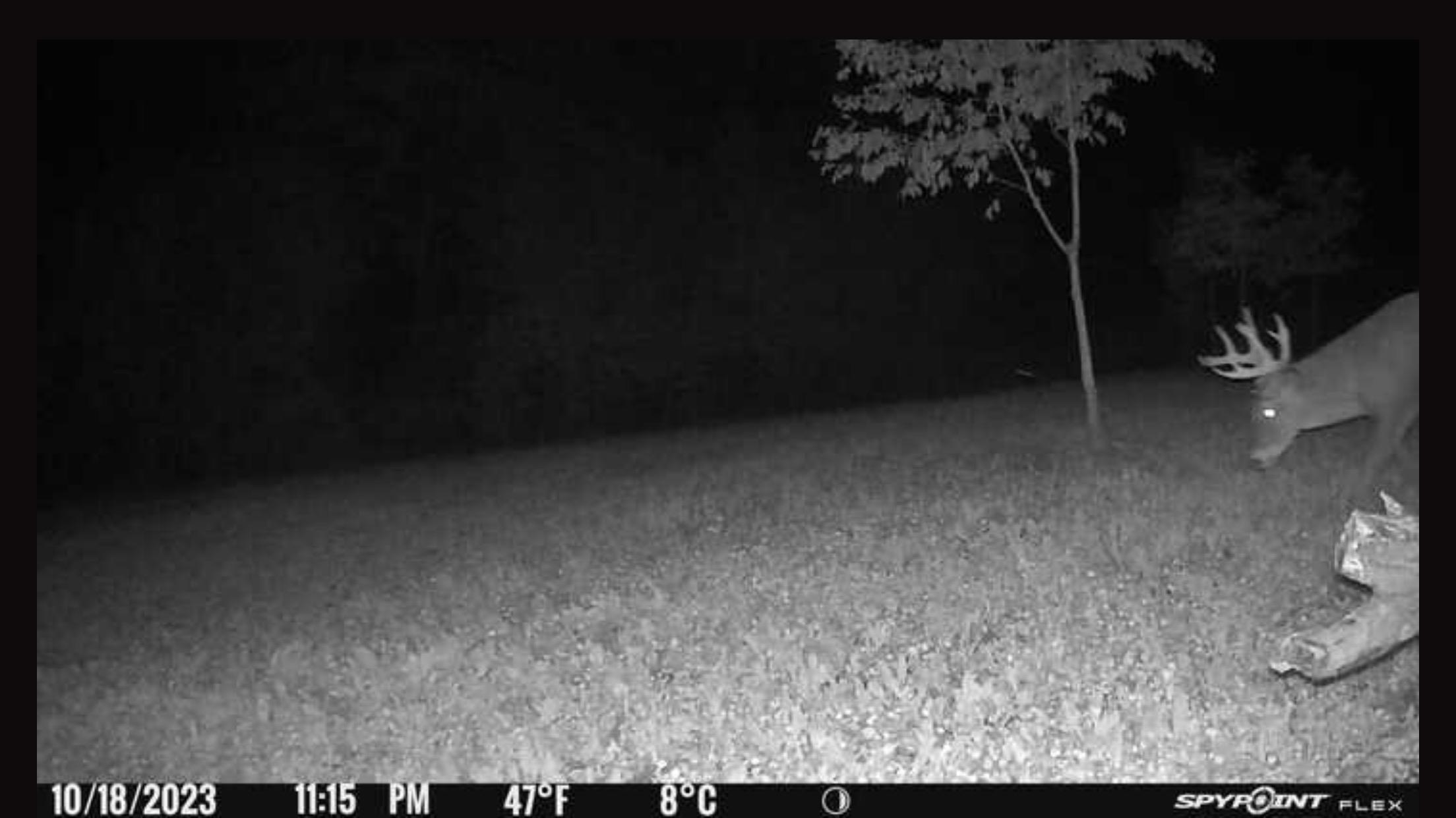 1513 West Menzemer Road Elizabeth, IL 61028 - Photo 10 of 16 Gallery Image 10
