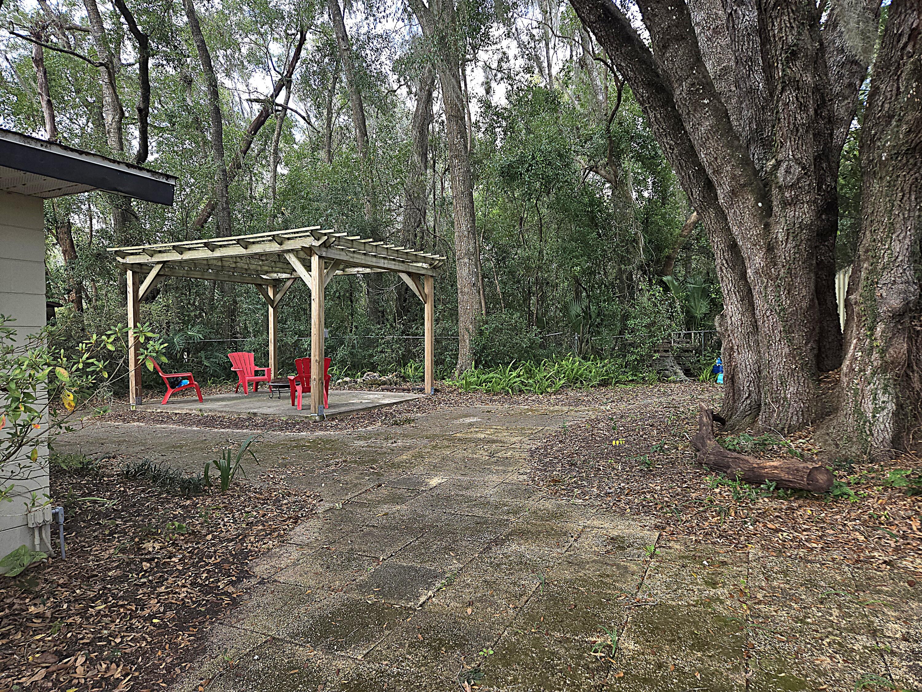 211 Northeast 3rd Terrace Williston, FL 32696 - Photo 45 of 46 a view of a park with large trees