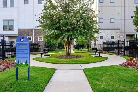 a view of a garden with a bench