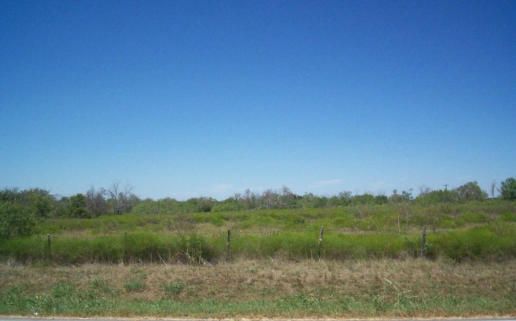 98.988-acres Littig Road Elgin, TX 78621 - Photo 1 of 1 Gallery Image 1