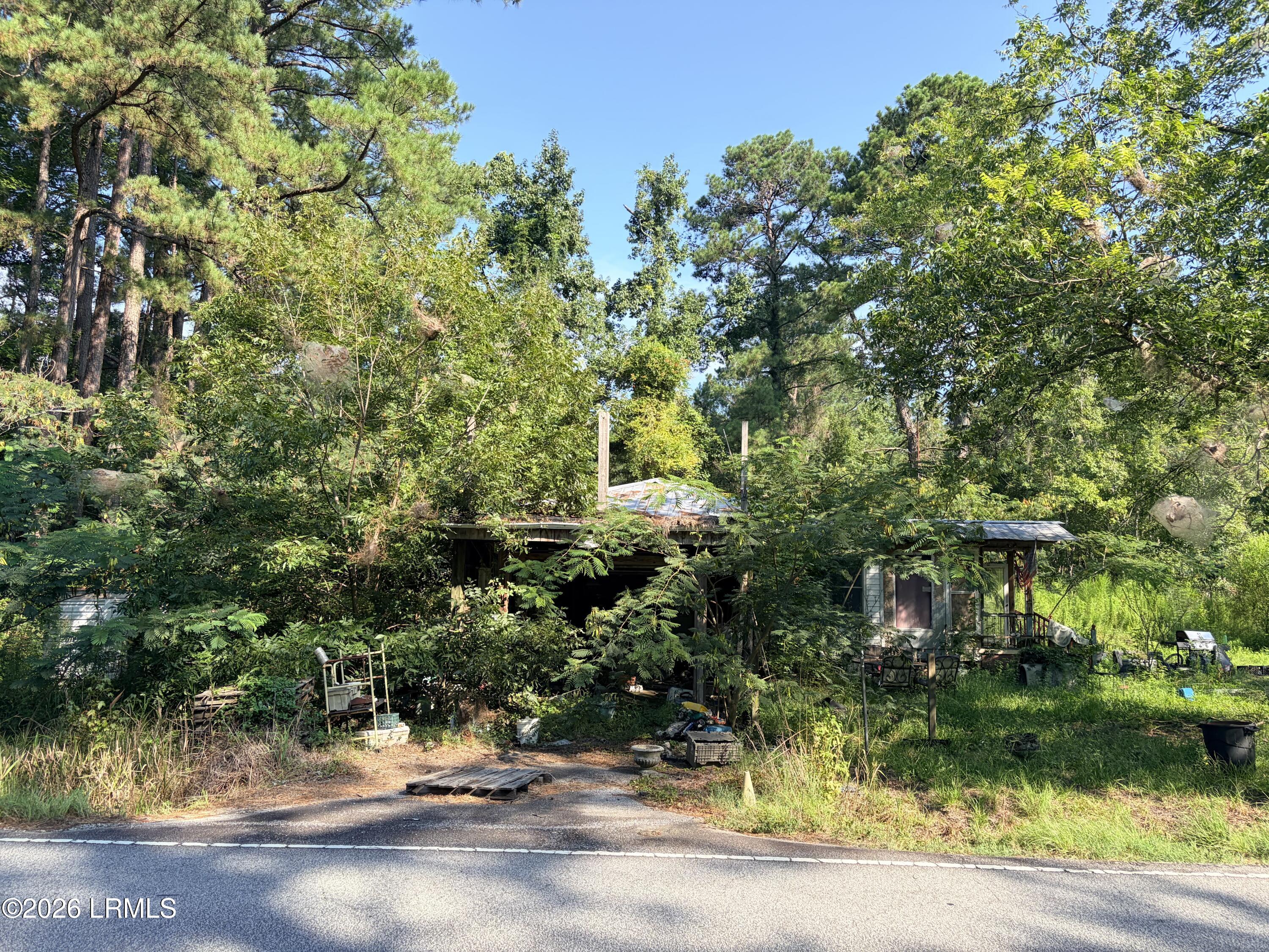 3809 Gillison Branch Road Pineland, SC 29934 - Photo 1 of 1 IMG_0653