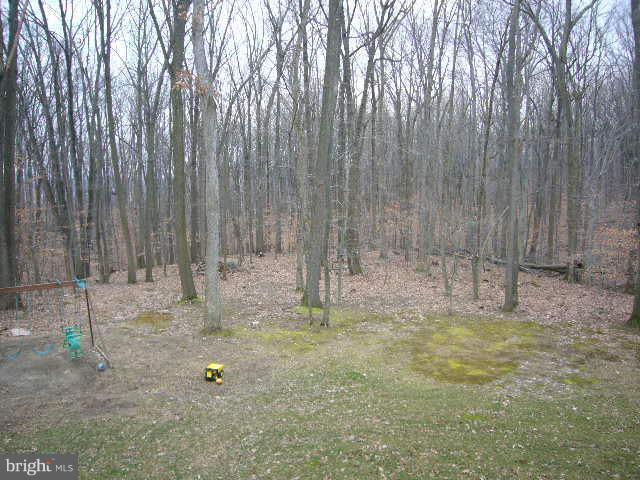 3969 Point Of Rocks Road Jefferson, MD 21755 - Photo 19 of 29 Exterior (Rear)