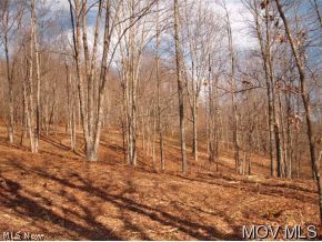 11 Mountain Ridge Road Auburn, WV 26325 - Photo 2 of 6 Gallery Image 2