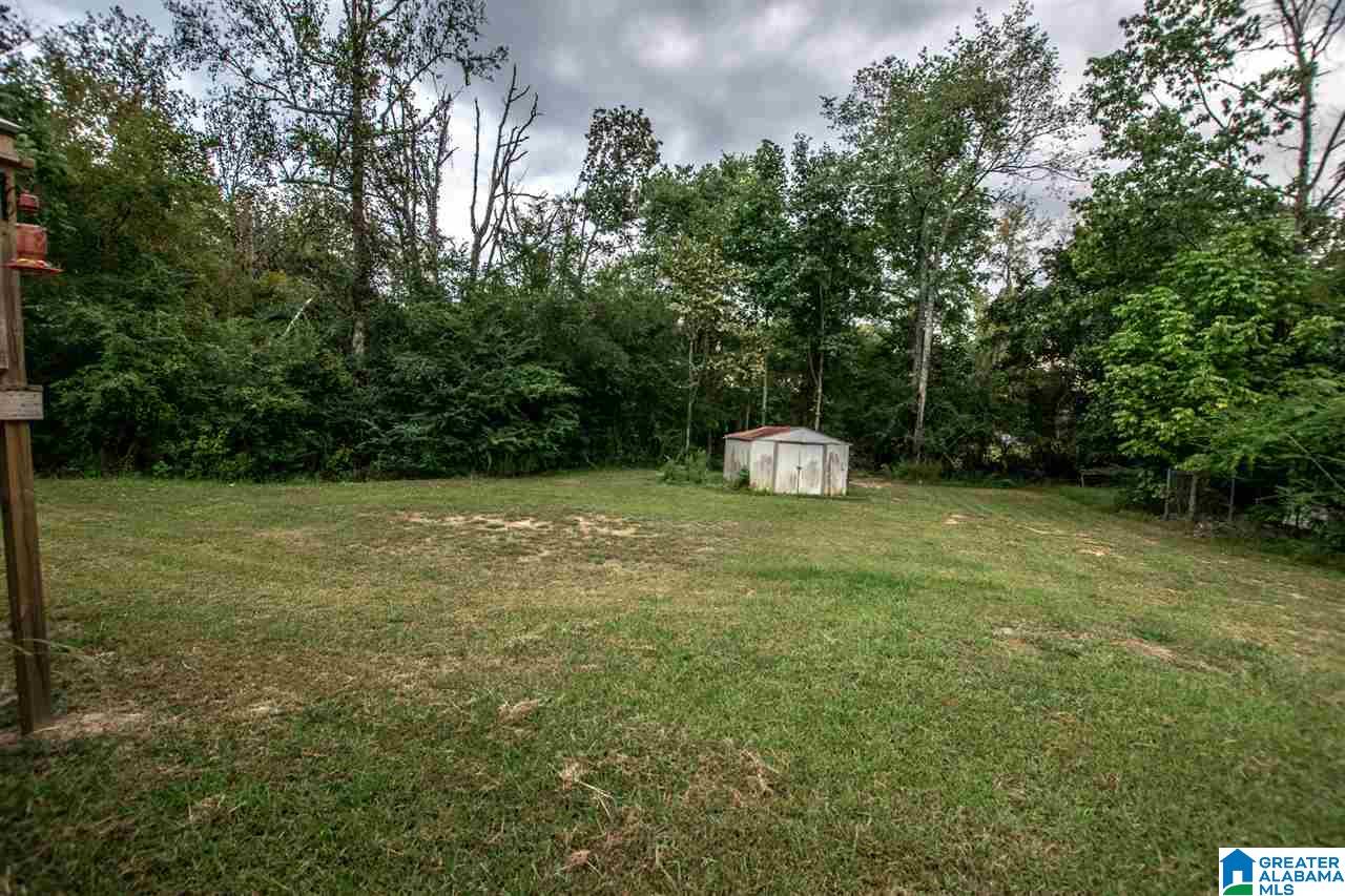 102 Wet Cat Road Hayden, AL 35079 - Photo 40 of 44