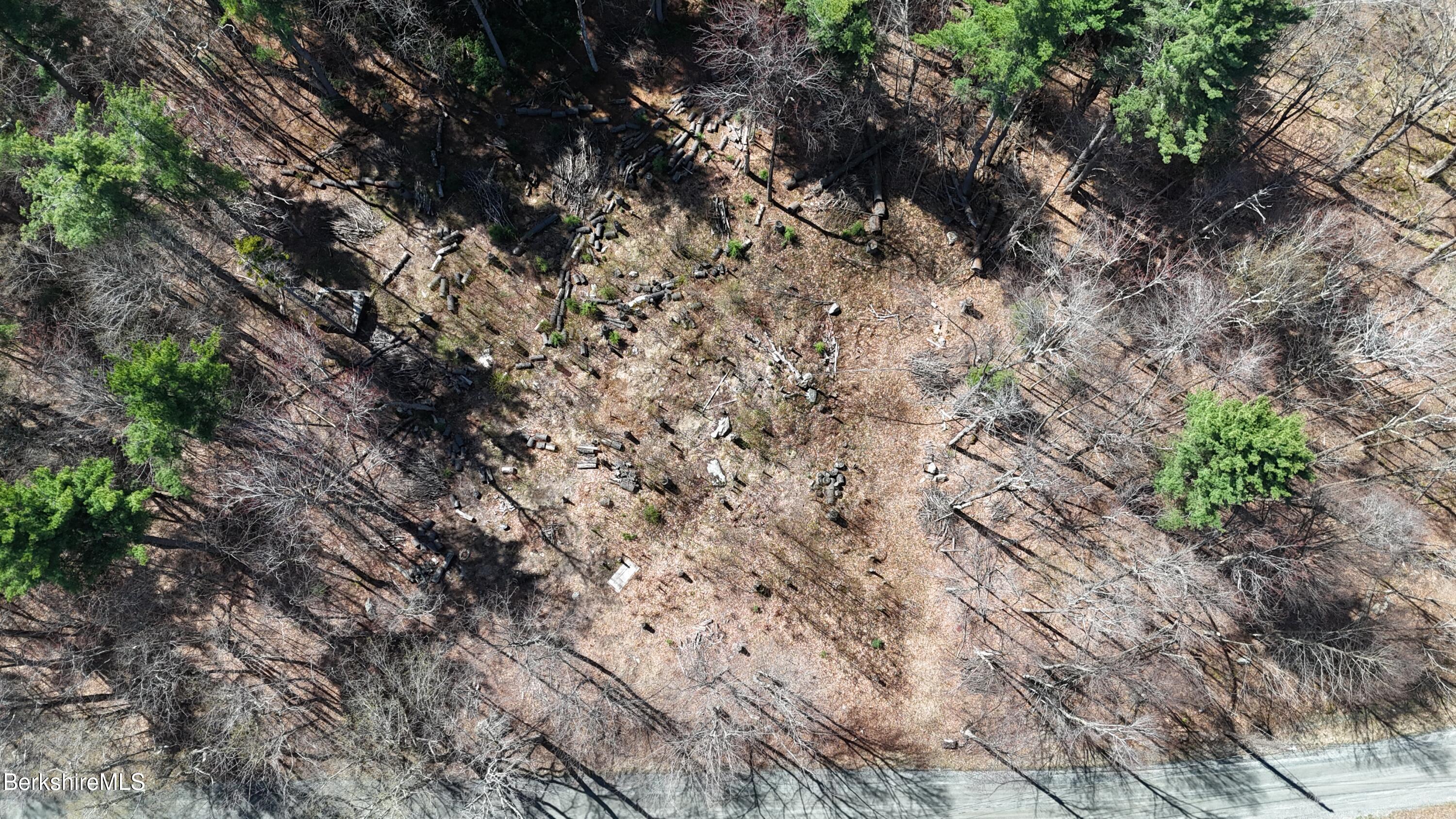 Lot 15 Dimmock Road Otis, MA 01253 - Photo 3 of 12 a view of a dry yard with large trees