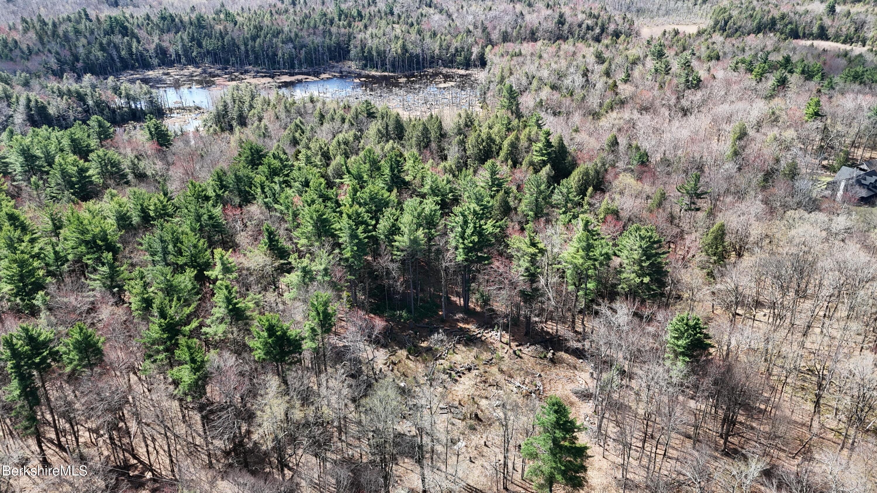 Lot 15 Dimmock Road Otis, MA 01253 - Photo 6 of 12 a view of a lush green forest with lots of trees